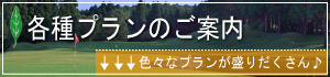 各種プラン